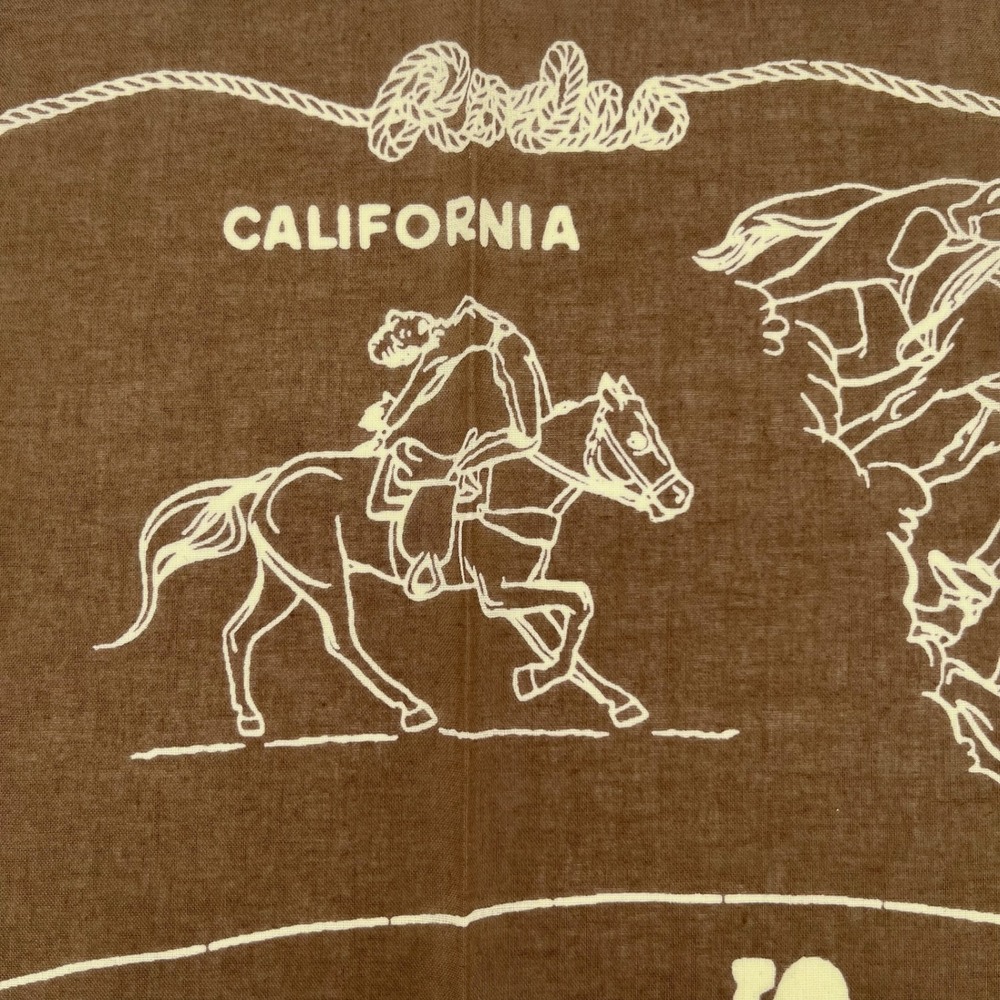 Buck Mason x Lee Riders Bandana 21 x 21 Brown Rodeo California Cotton Japan Made - Picture 3 of 7